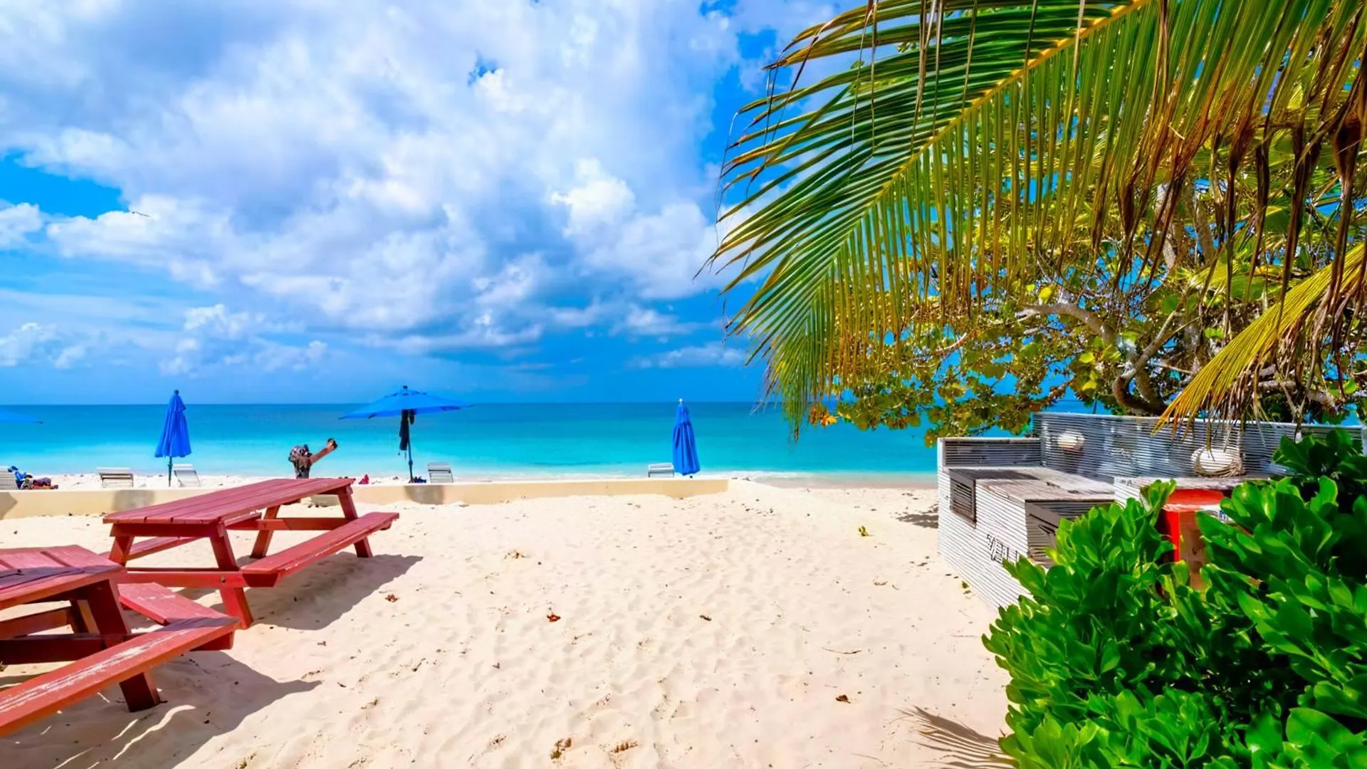 Seagull Condominiums Unit # 1 Grand Cayman 开曼群岛